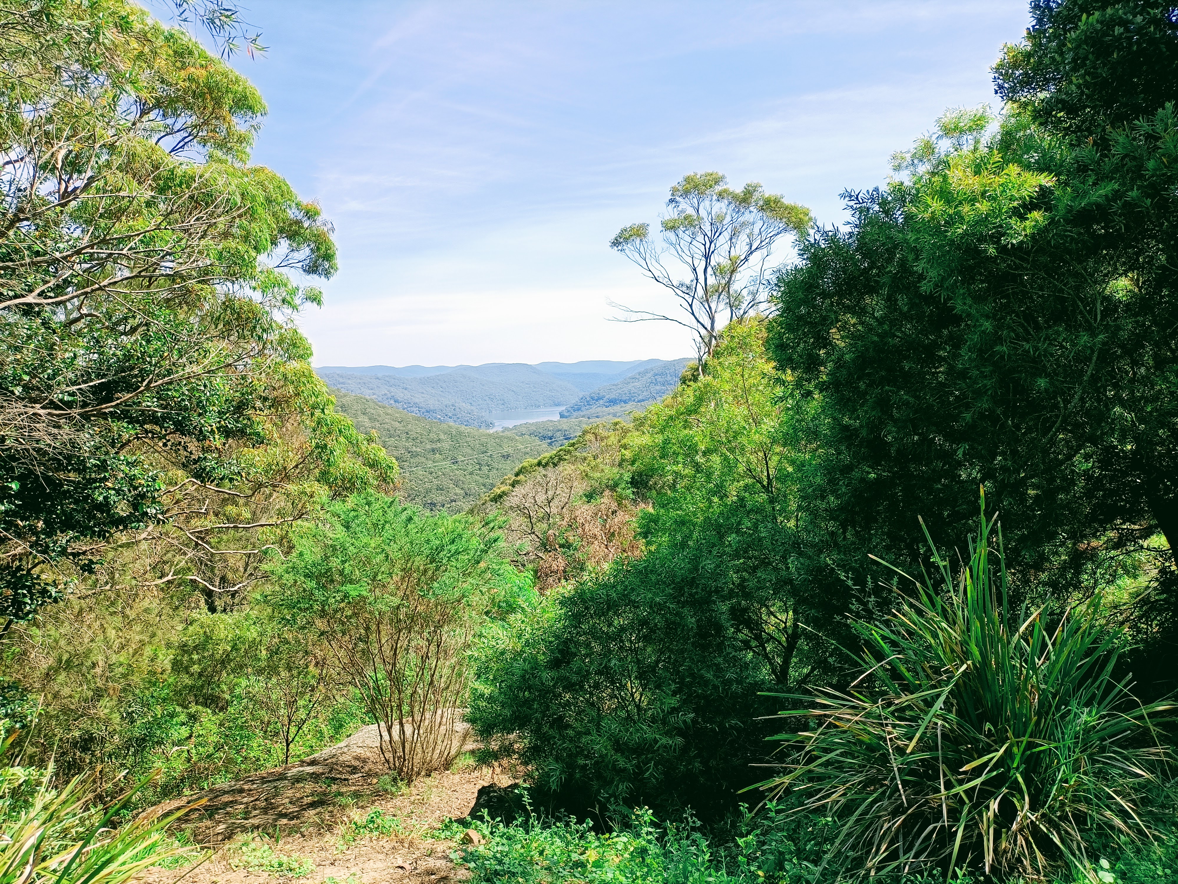Berowra Creek as seen at View Street, Cowan, in 2025